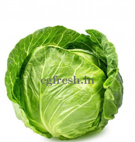Fresh Organic Cabbage