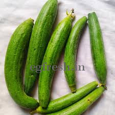 RIDGE GOURD(TURAI)