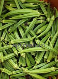 BITTER GOURD (KARELA)