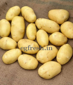 Kufri Khyati Premium potato