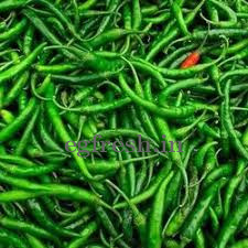 GREEN CHILLY