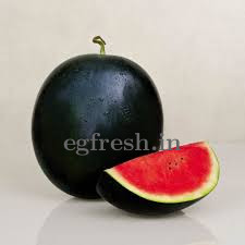 Maxx Premium Watermelon