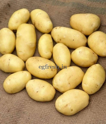 Kufri Lauvkar Premium Potato