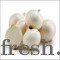 55 Mm Plus Nashik Fresh White Onion