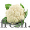 CAULI FLOWER