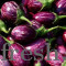 BRINJAL