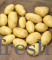 Kufri Pukhraj Premium Potato
